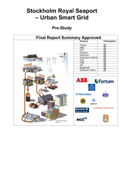Final Report Summary