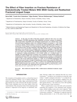 Reattached lingual cusps