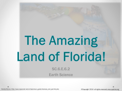 The Amazing Land of Florida!