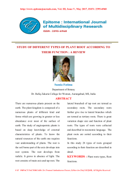 STUDY OF DIFFERENT TYPES OF PLANT ROOT ACCORDING TO