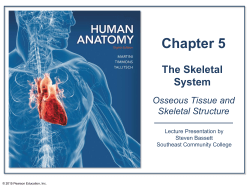 ch_05_lecture_presentation