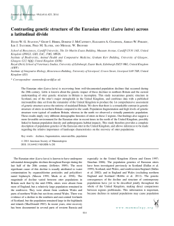 Contrasting genetic structure of the Eurasian otter