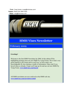 HMH Vises Newsletter February 2009