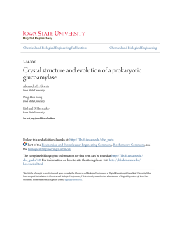 Crystal structure and evolution of a prokaryotic