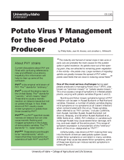 Potato Virus Y Management for the Seed Potato Producer