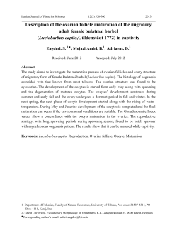 pdf - Evolutionary Morphology of Vertebrates