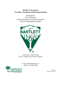 Moderate - Town of Weston