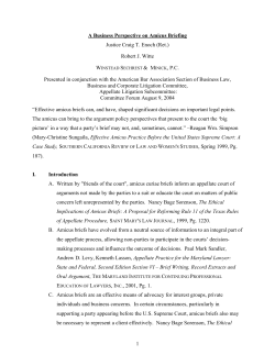 A Business Perspective on Amicus Briefing