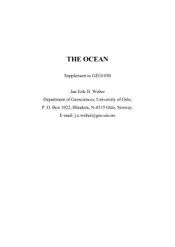 the ocean