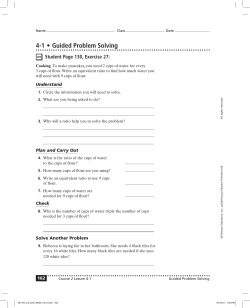 Chapter 4 Guided Problem Solving - Lewis