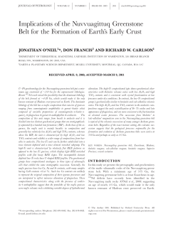 Implications of the Nuvvuagittuq Greenstone Belt