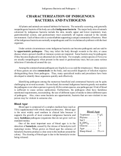 characterization of indigenous bacteria and