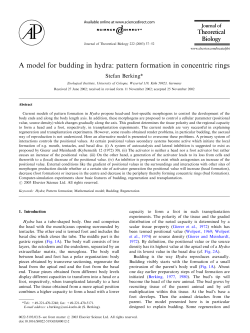 A model for budding in hydra: pattern formation in concentric rings