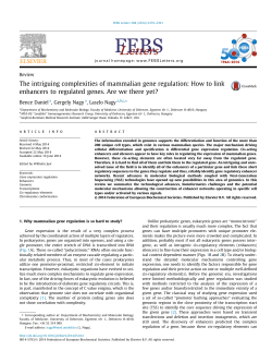 The intriguing complexities of mammalian gene regulation: How to