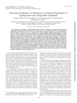 Nocturnal Production of Endospores in Natural