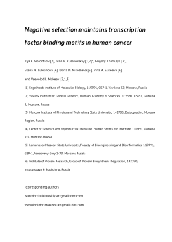 Negative selection maintains transcription factor binding motifs in