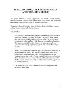 FETAL ALCOHOL, THE EXTERNAL BRAIN AND PROBATION