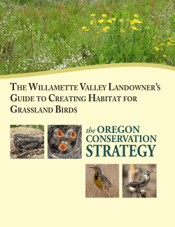 the CONSERVATION STRATEGY