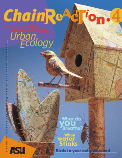 Issue 4 - Chain Reaction