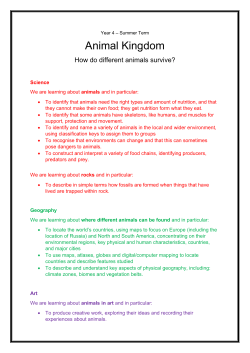 Summer Term 2015 - The Animal Kingdom