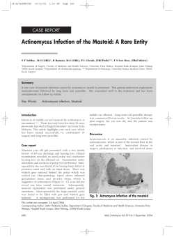 Actinomyces Infection of the Mastoid: A Rare Entity
