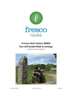 A Fresco Start Camino 200KM Your Self