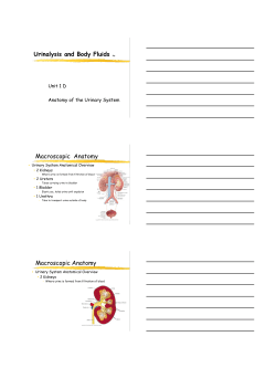 notes page pdf