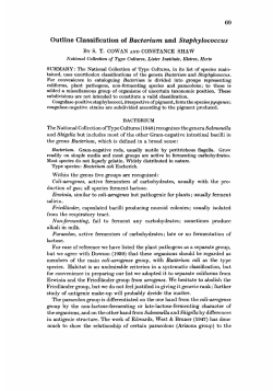 Outline Classification of Bacterium and StaphyZococcus