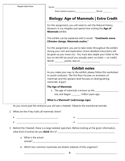 Biology: Age of Mammals | Extra Credit Exhibit notes