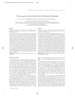 2297 Potamogeton.af_Anales 69(2).qxd