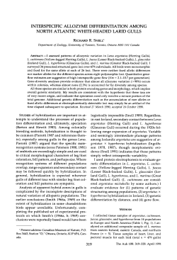 interspecific allozyme differentiation among north atlantic white