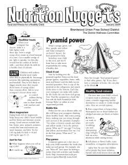 Pyramid power - Brentwood Union Free School District
