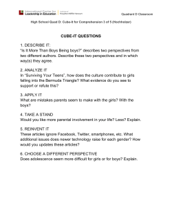 CUBE-IT QUESTIONS 1. DESCRIBE IT: &ldquo;Is It More Than Boys Being