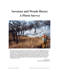 Photo series on doing an oak savanna burn
