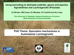 Genetic assessment of relationships between genera of the Subtribe