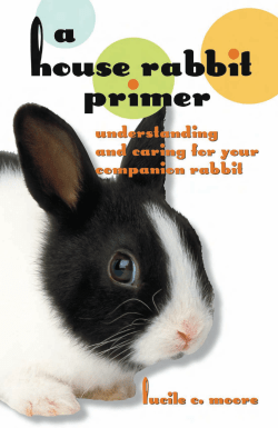 A House Rabbit Primer: Understanding and Caring for Your