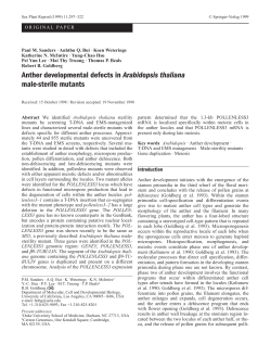 Anther developmental defects in Arabidopsis thaliana male