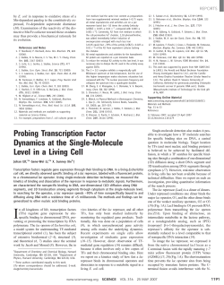 Probing Transcription Factor Dynamics at the Single
