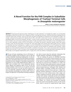A Novel Function for the PAR Complex in Subcellular