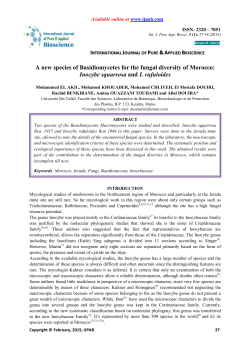 A new species of Basidiomycetes for the fungal diversity of Morocco