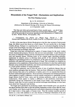 Biosynthesis of the Fungal Wall - Mechanisms and