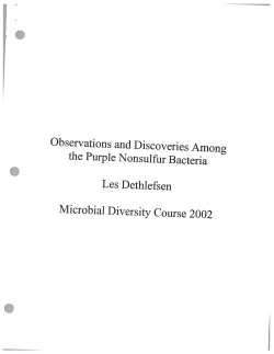 Dethlefsen, L. Observations and discoveries among the purple