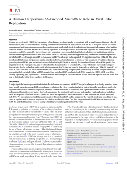 A Human Herpesvirus 6A-Encoded MicroRNA: Role in Viral Lytic