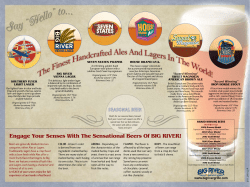 Engage Your Senses with the Sensational Beers