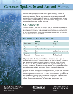Common Spiders In and Around Homes (A2135)