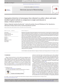 Segregation distortion in homozygous lines obtained via anther