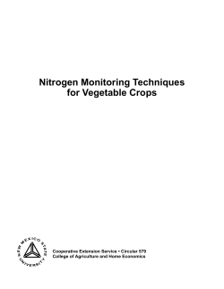 Nitrogen Monitoring Techniques for Vegetables Crops