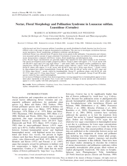 Nectar, Floral Morphology and Pollination