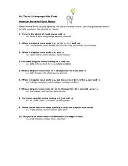 Notes on Nouns