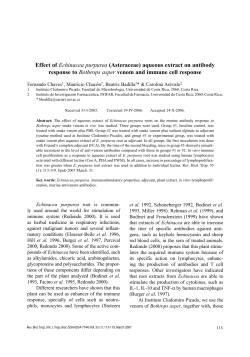 Effect of Echinacea purpurea (Asteraceae) aqueous extract on